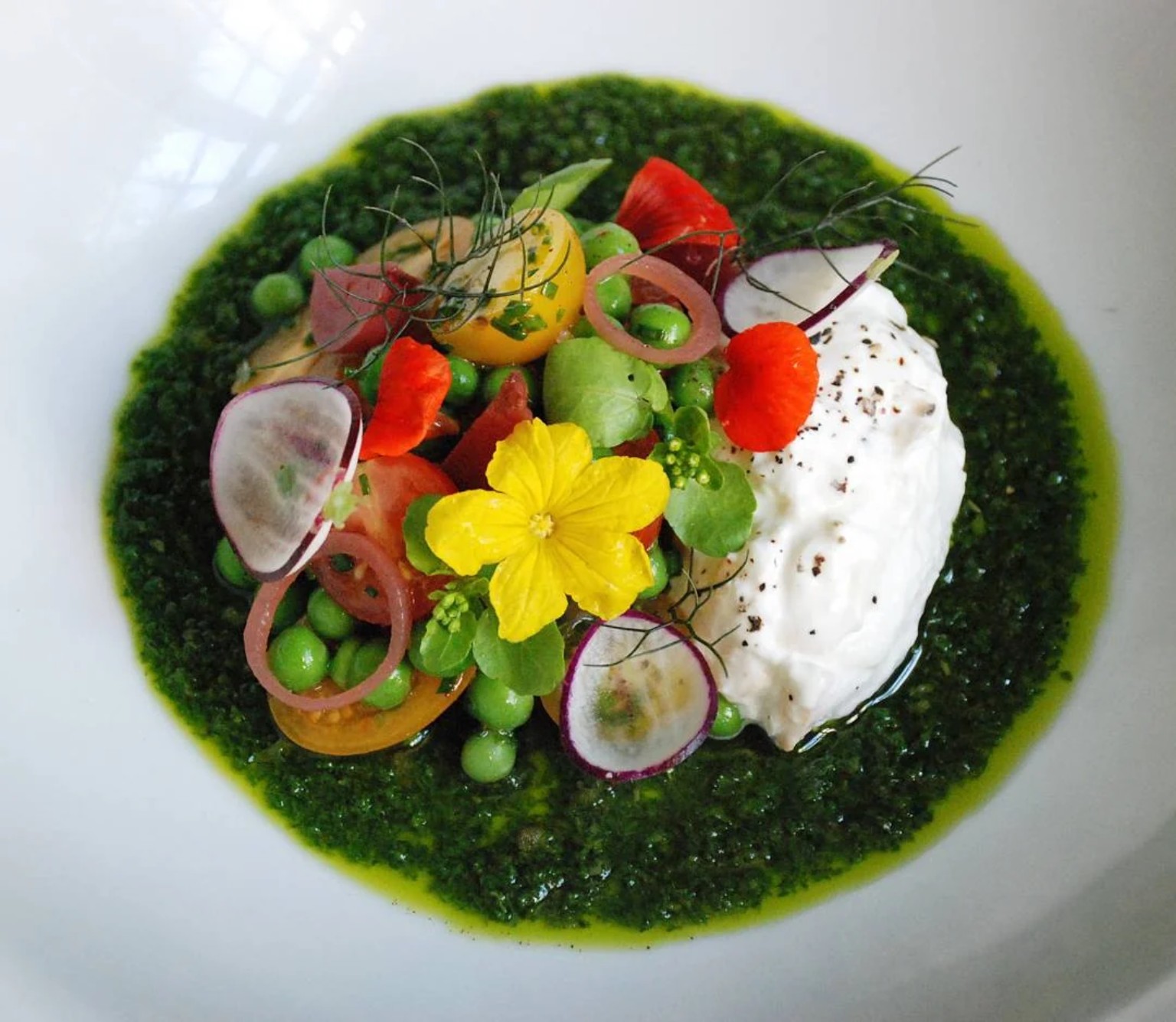 Burrata, spring peas, tomatoes and herb pesto