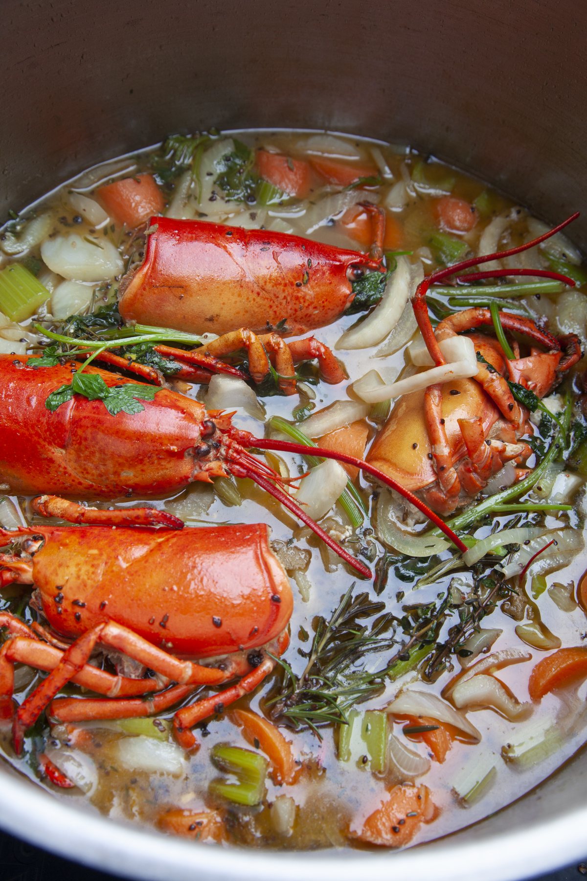 Lobster, aromatics and herbs